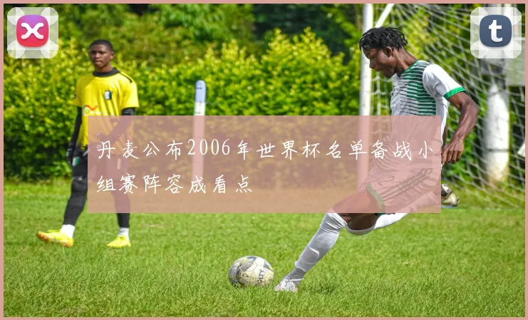 丹麦公布2006年世界杯名单备战小组赛阵容成看点