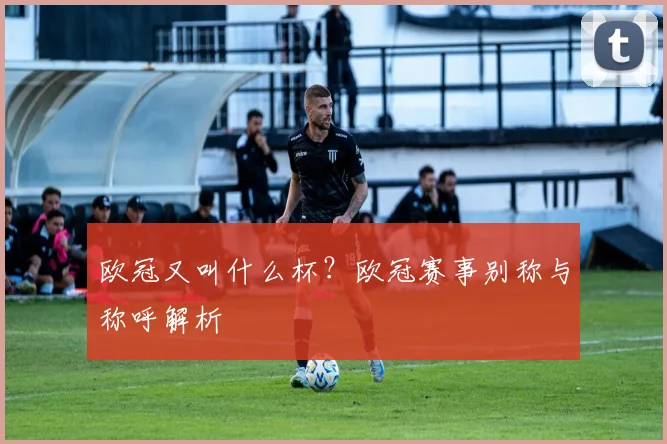 欧冠又叫什么杯?欧冠赛事别称与称呼解析