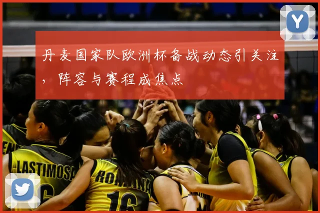丹麦国家队欧洲杯备战动态引关注，阵容与赛程成焦点