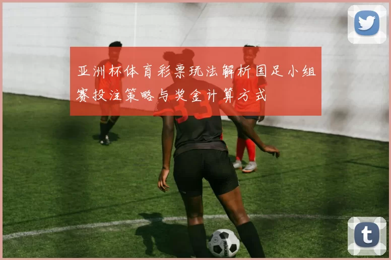 亚洲杯体育彩票玩法解析国足小组赛投注策略与奖金计算方式