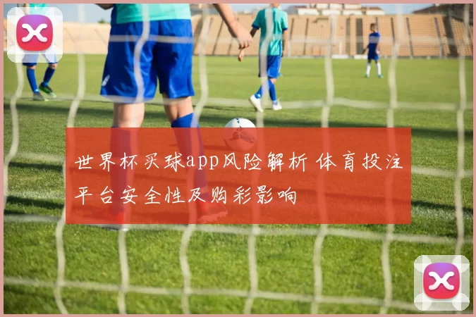 世界杯买球app风险解析 体育投注平台安全性及购彩影响