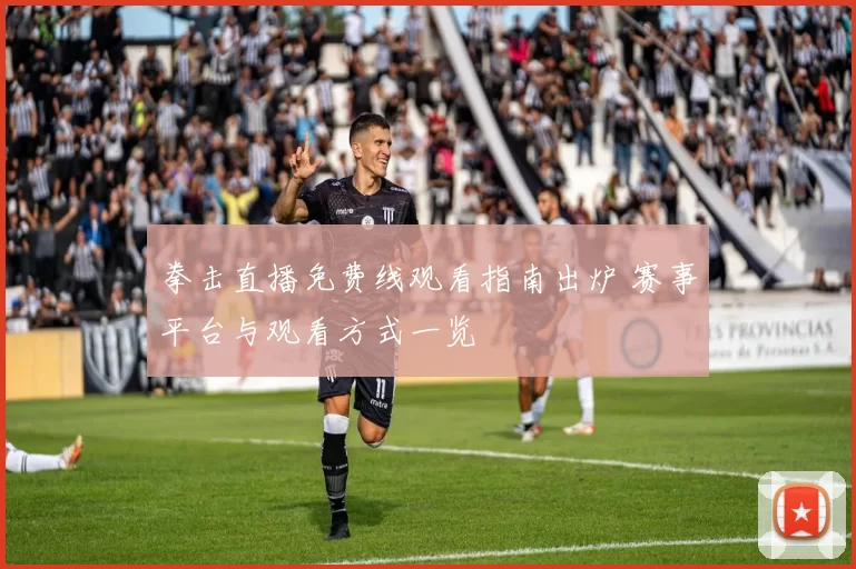 拳击直播免费线观看指南出炉 赛事平台与观看方式一览