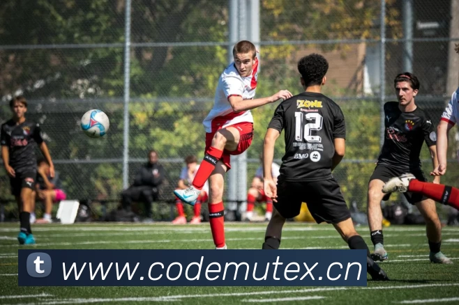 333体育(中国)官方网站 - 333 SPORTSAPP 封面图